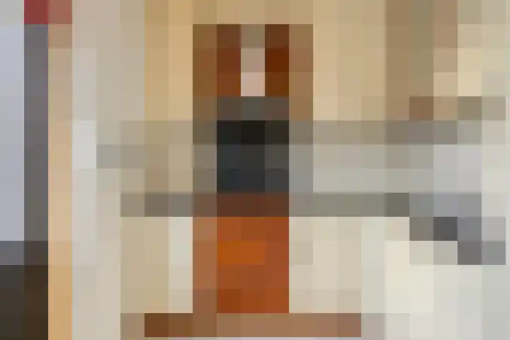 Schoresteynstraat 19 Deil thumbnail 12