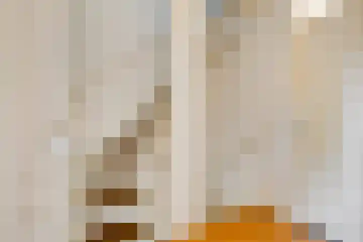 Schoresteynstraat 19 Deil thumbnail 13