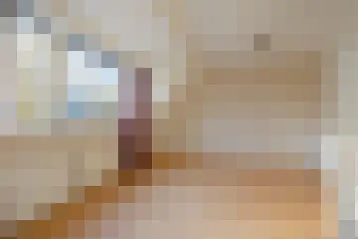 Schoresteynstraat 19 Deil thumbnail 14