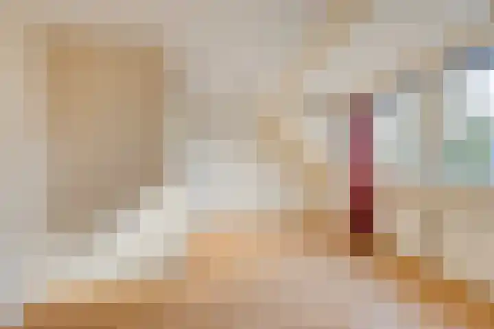 Schoresteynstraat 19 Deil thumbnail 15