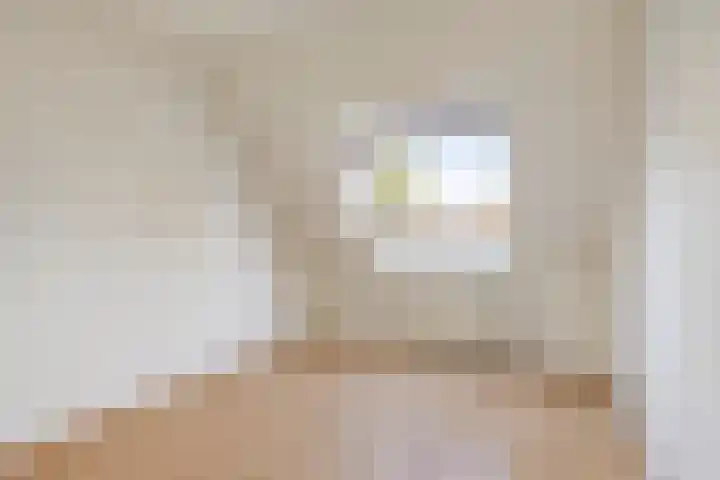 Schoresteynstraat 19 Deil thumbnail 16