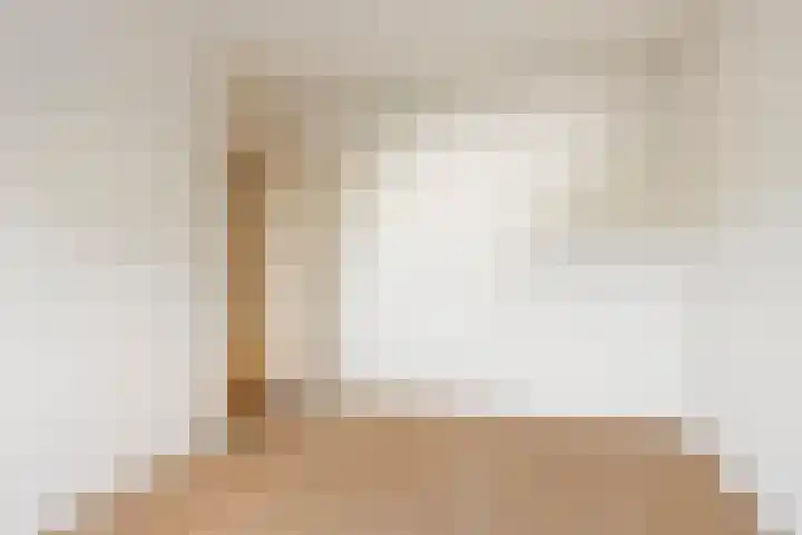 Schoresteynstraat 19 Deil thumbnail 17
