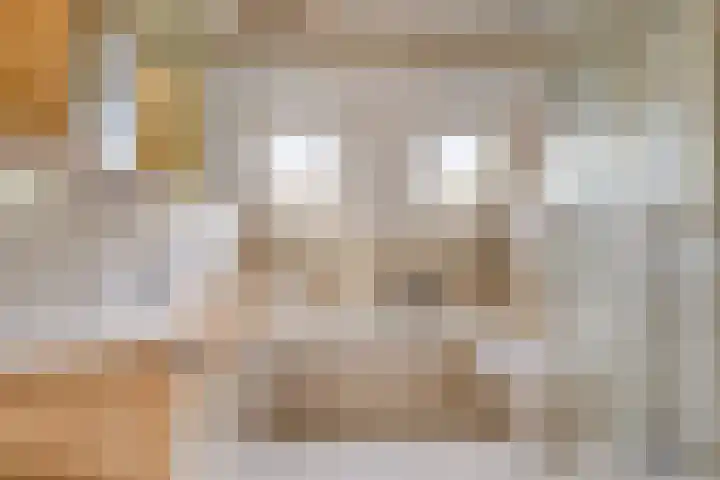 Schoresteynstraat 19 Deil thumbnail 18