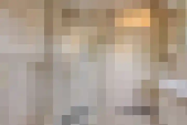 Schoresteynstraat 19 Deil thumbnail 19