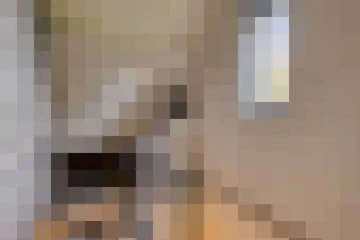 Schoresteynstraat 19 Deil thumbnail 20
