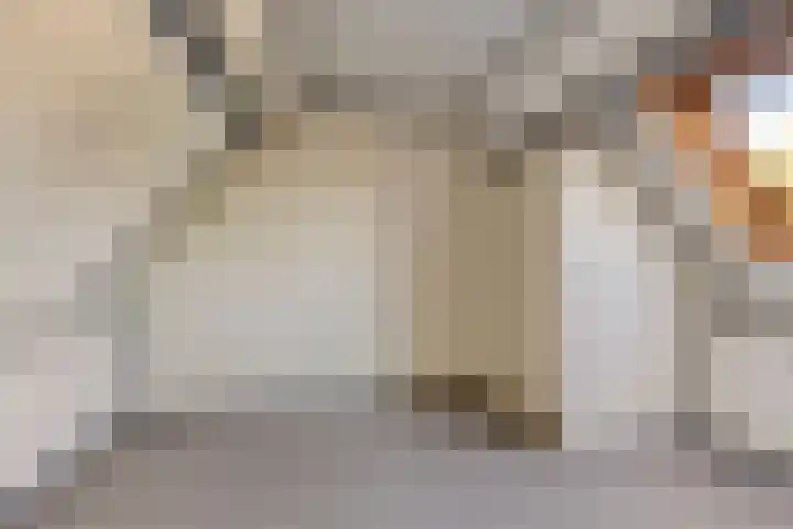 Schoresteynstraat 19 Deil thumbnail 21