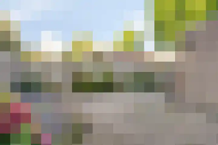 Schoresteynstraat 19 Deil thumbnail 23
