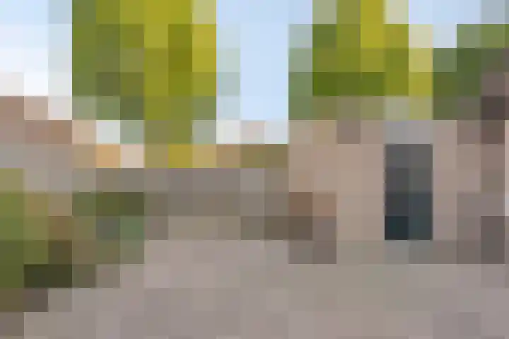 Schoresteynstraat 19 Deil thumbnail 24