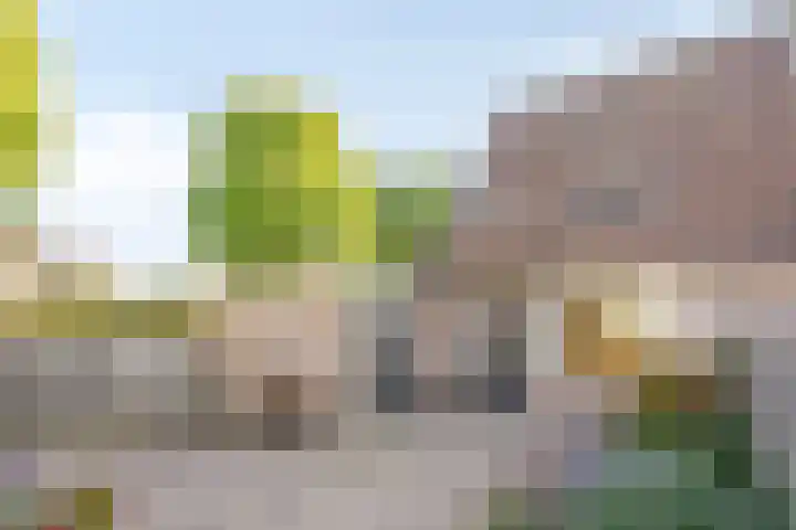 Schoresteynstraat 19 Deil thumbnail 25