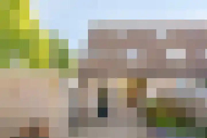 Schoresteynstraat 19 Deil thumbnail 26