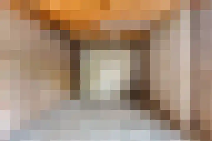 Schoresteynstraat 19 Deil thumbnail 27