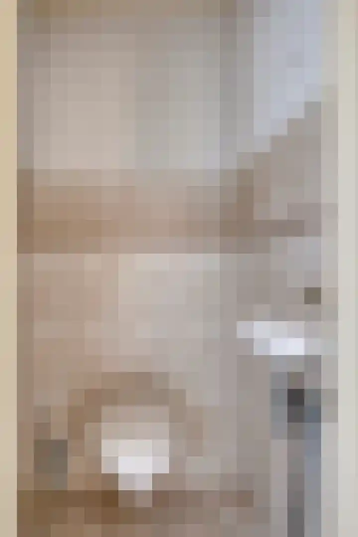 Schoresteynstraat 19 Deil thumbnail 5