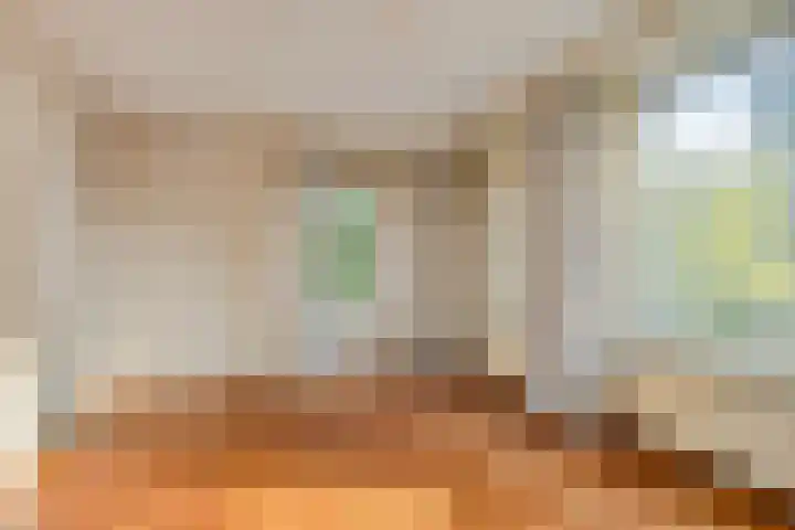 Schoresteynstraat 19 Deil thumbnail 8