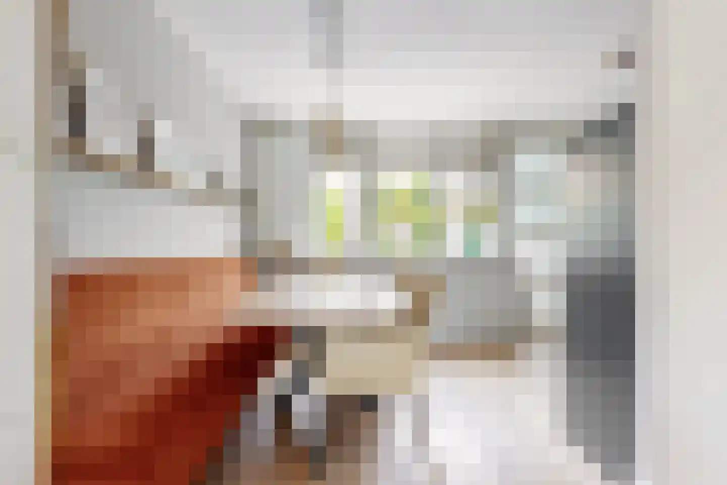 Schoresteynstraat 51 Deil thumbnail 10