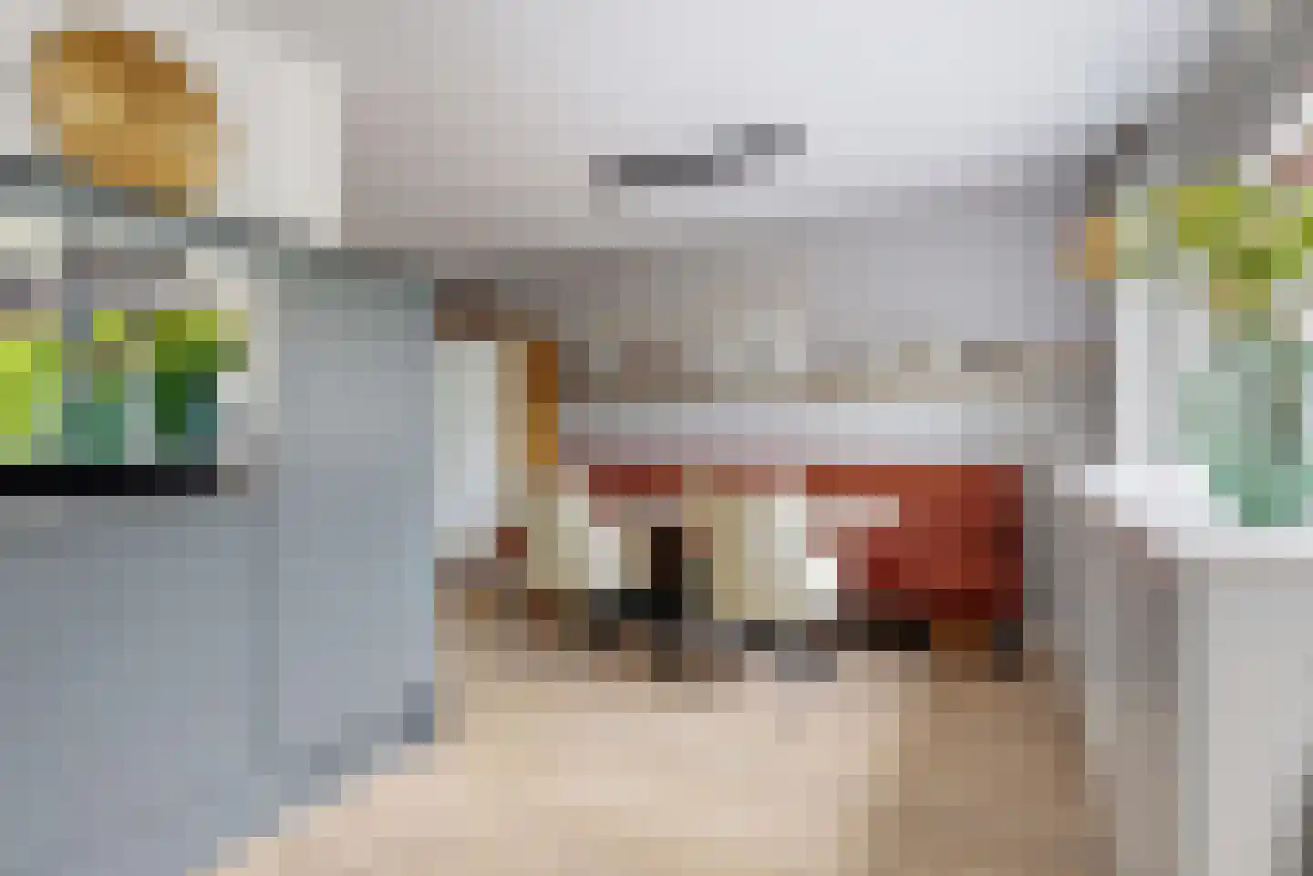 Schoresteynstraat 51 Deil thumbnail 13