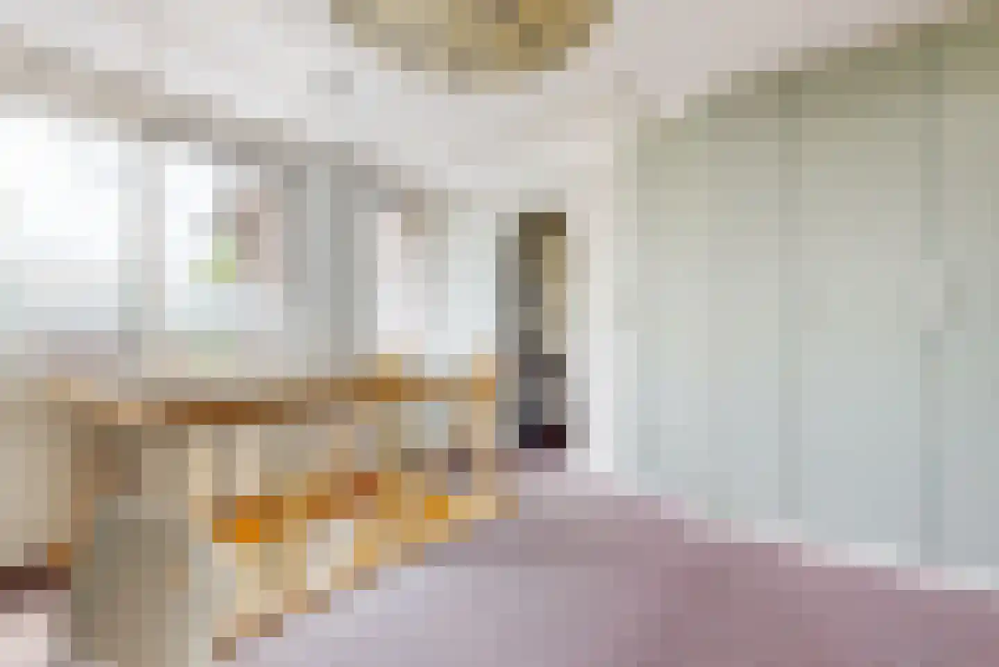 Schoresteynstraat 51 Deil thumbnail 18
