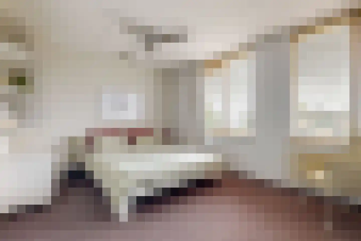 Schoresteynstraat 51 Deil thumbnail 19
