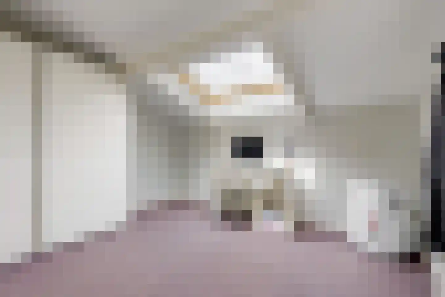 Schoresteynstraat 51 Deil thumbnail 21