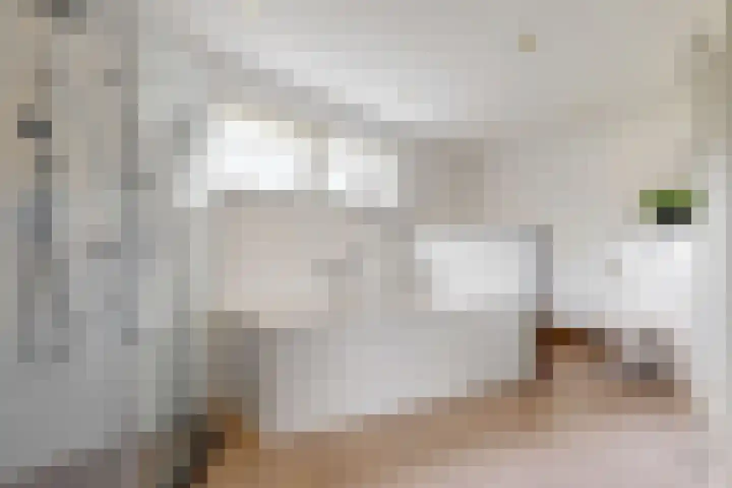 Schoresteynstraat 51 Deil thumbnail 24