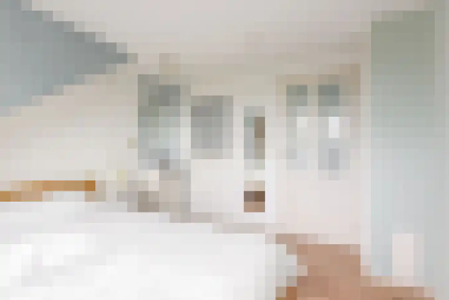 Schoresteynstraat 51 Deil thumbnail 27