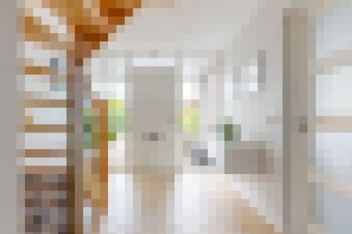 Schoresteynstraat 51 Deil thumbnail 5