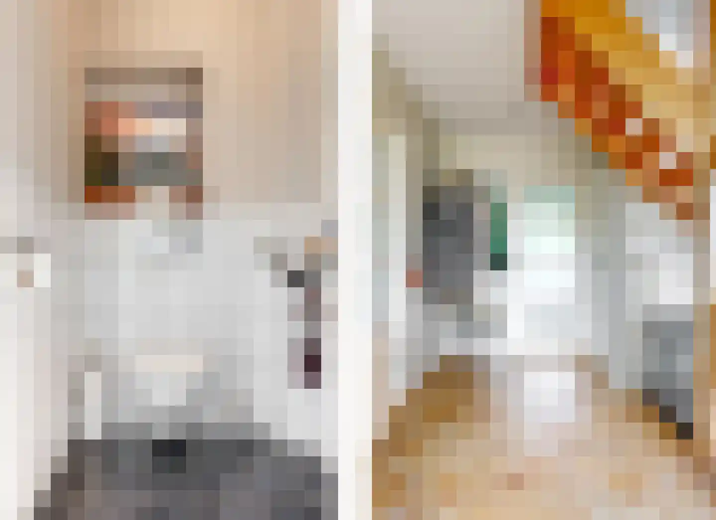 Schoresteynstraat 51 Deil thumbnail 6