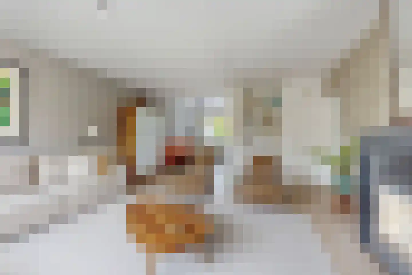 Schoresteynstraat 51 Deil thumbnail 8