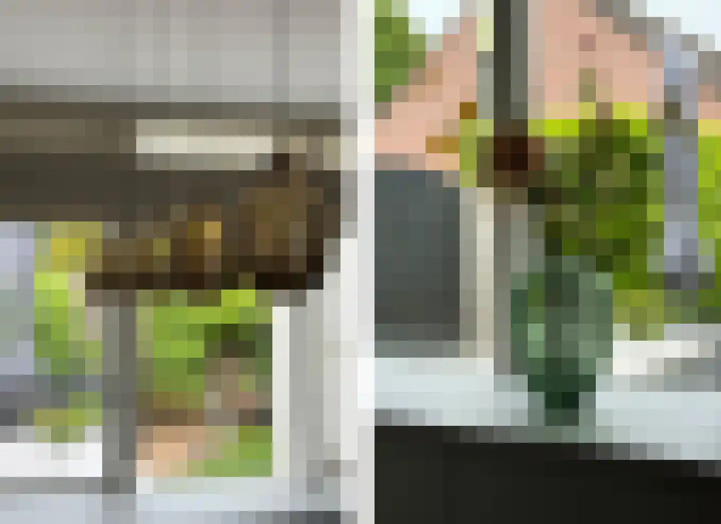 Schoresteynstraat 51 Deil thumbnail 9