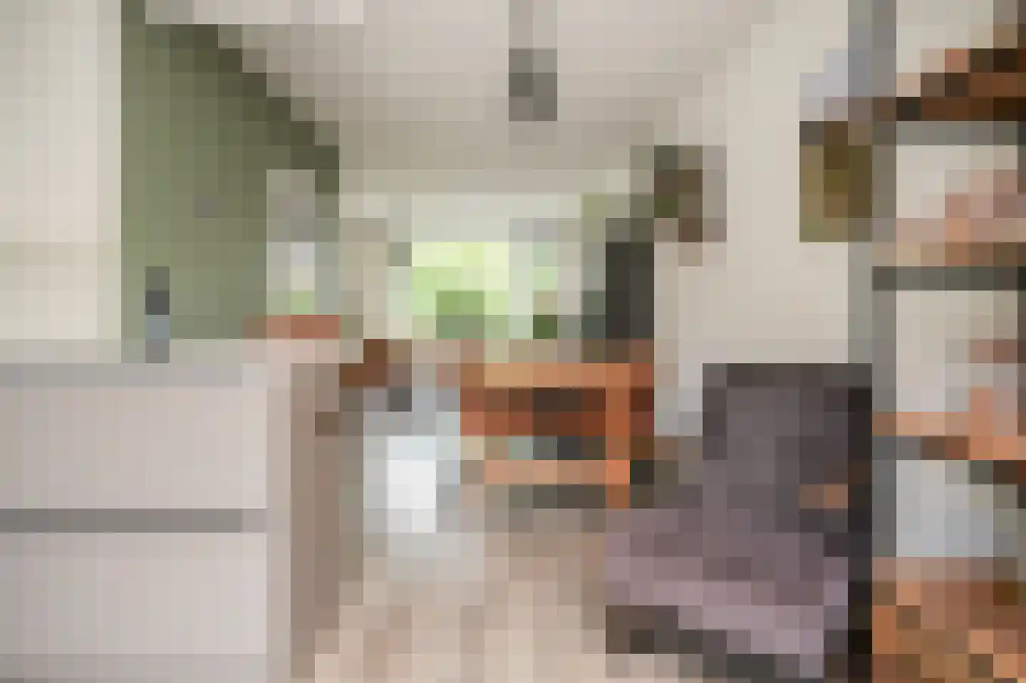 Schoresteynstraat 59 Deil thumbnail 13
