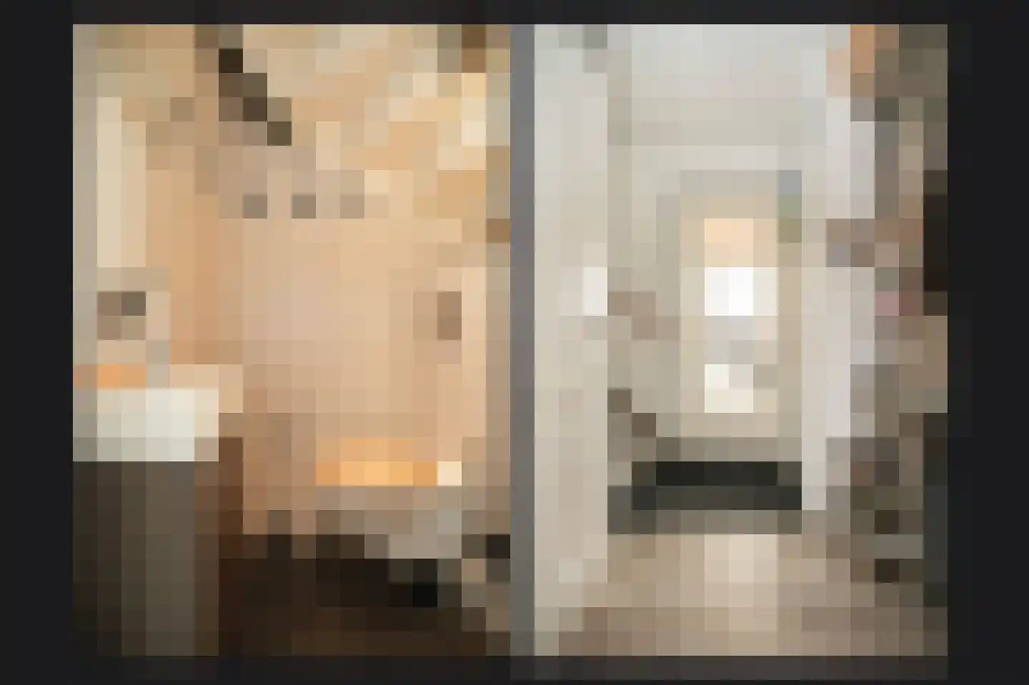 Schoresteynstraat 59 Deil thumbnail 14