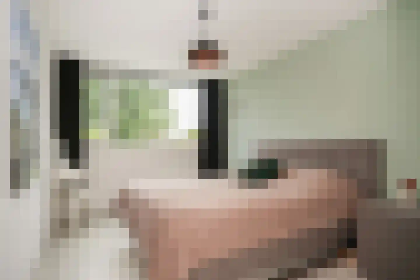 Schoresteynstraat 59 Deil thumbnail 15