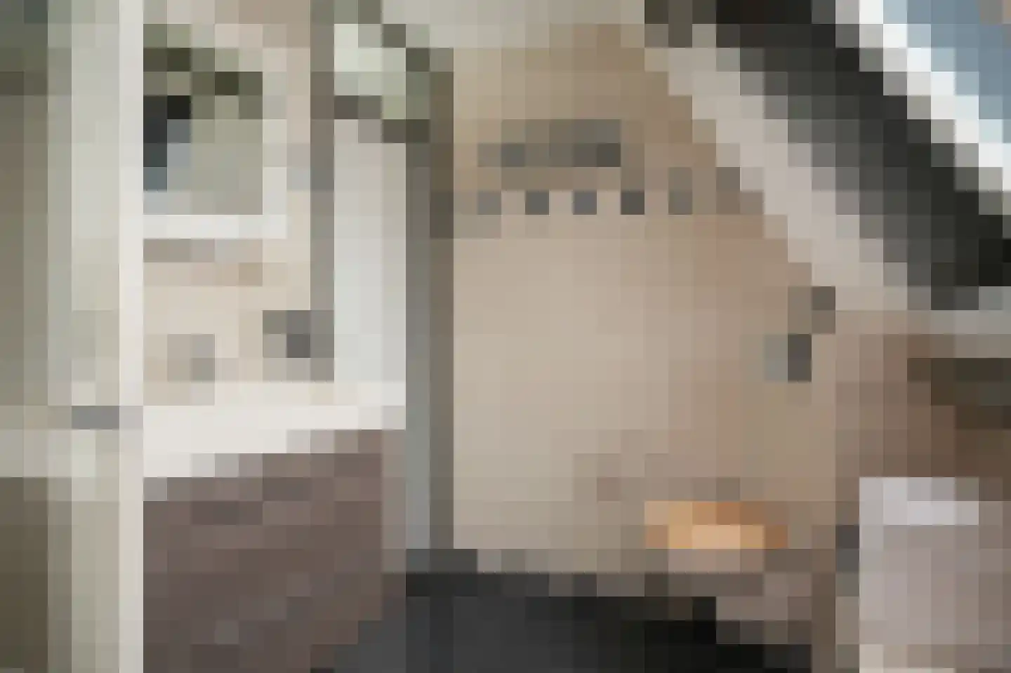 Schoresteynstraat 59 Deil thumbnail 21