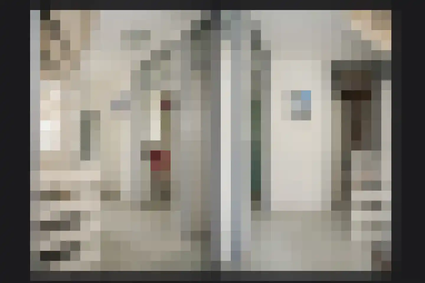 Schoresteynstraat 59 Deil thumbnail 22