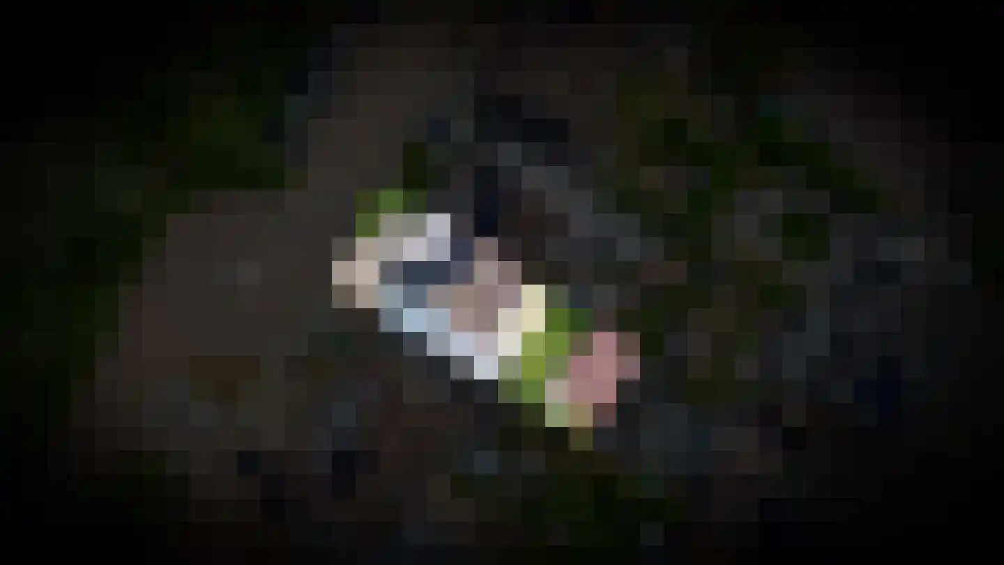 Schoresteynstraat 59 Deil thumbnail 36