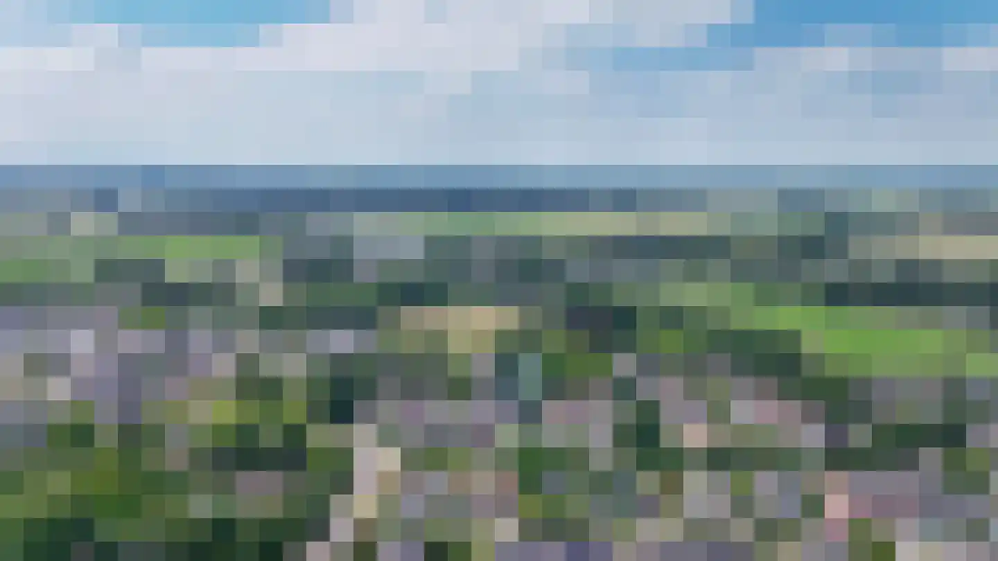 Schoresteynstraat 59 Deil thumbnail 37