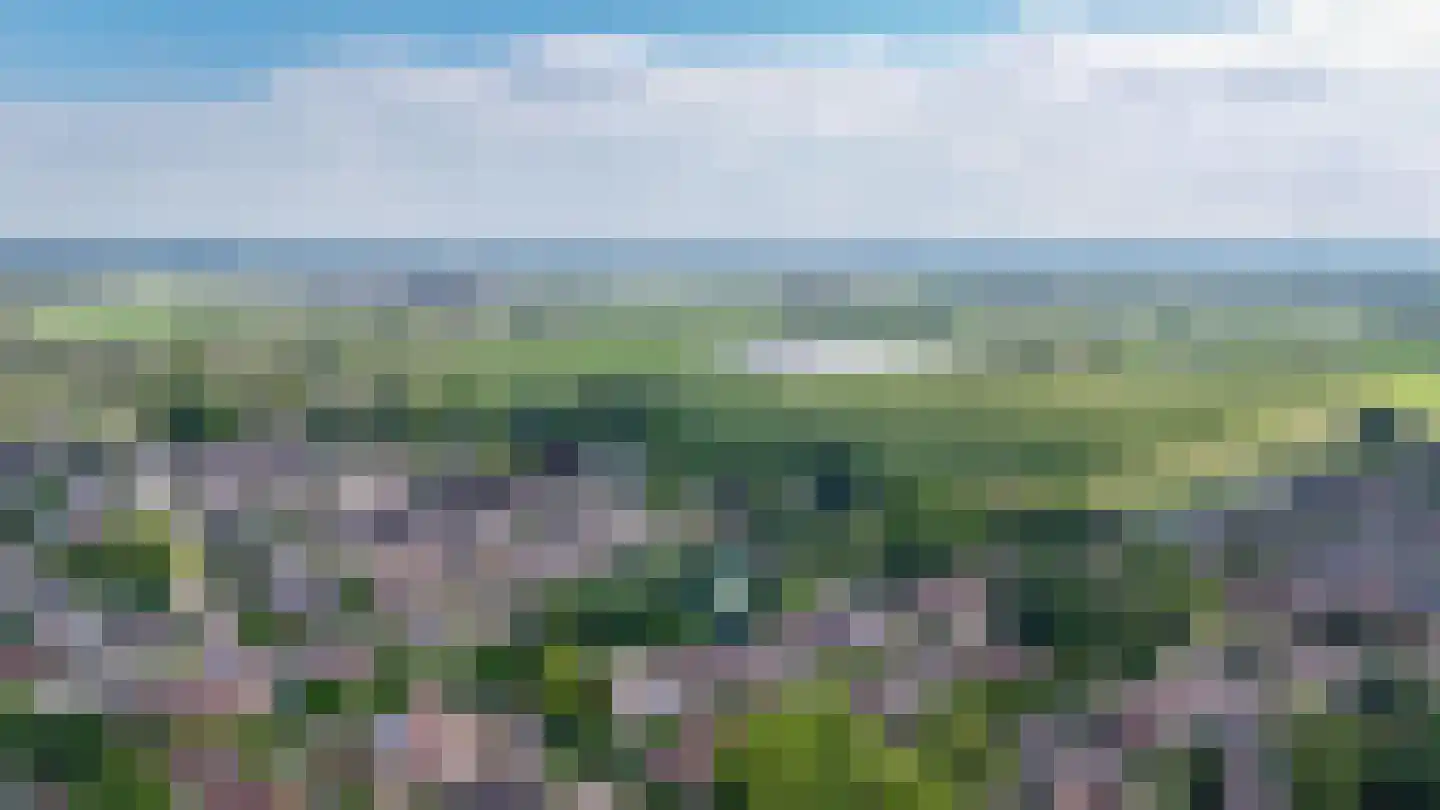 Schoresteynstraat 59 Deil thumbnail 39