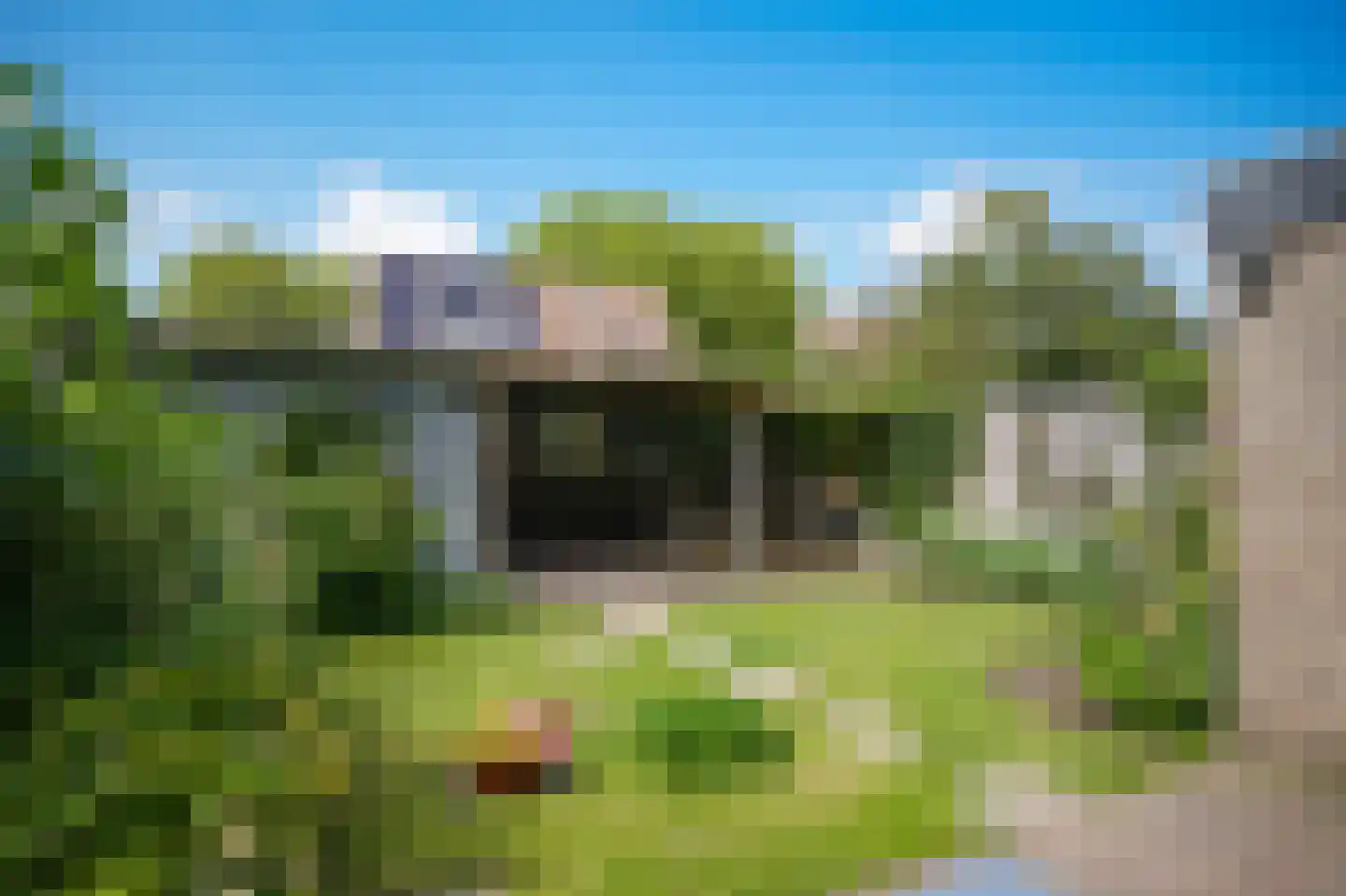 Schoresteynstraat 59 Deil thumbnail 4