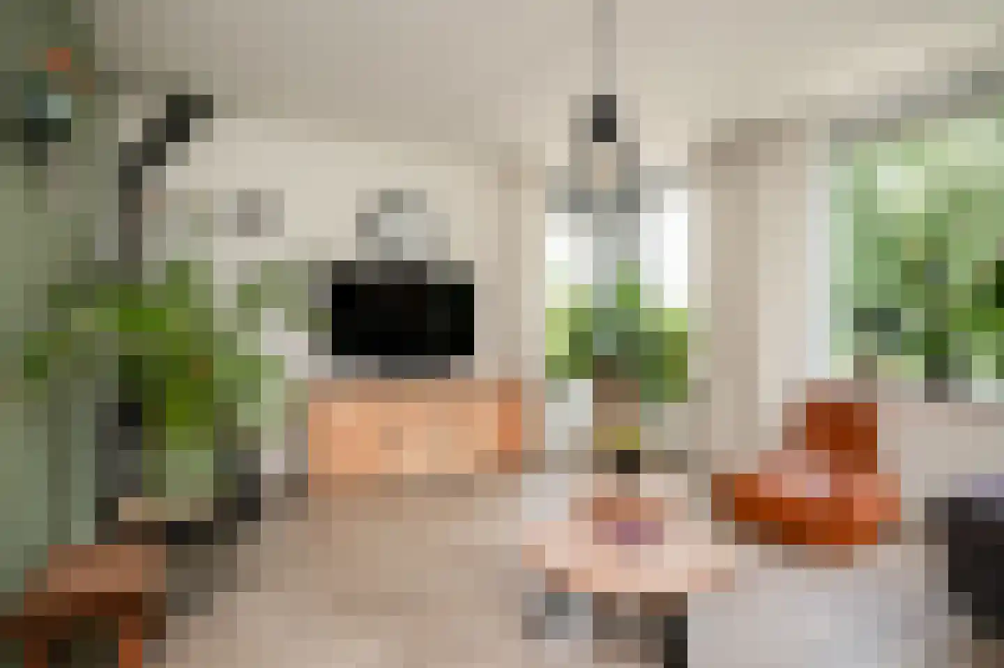 Schoresteynstraat 59 Deil thumbnail 6