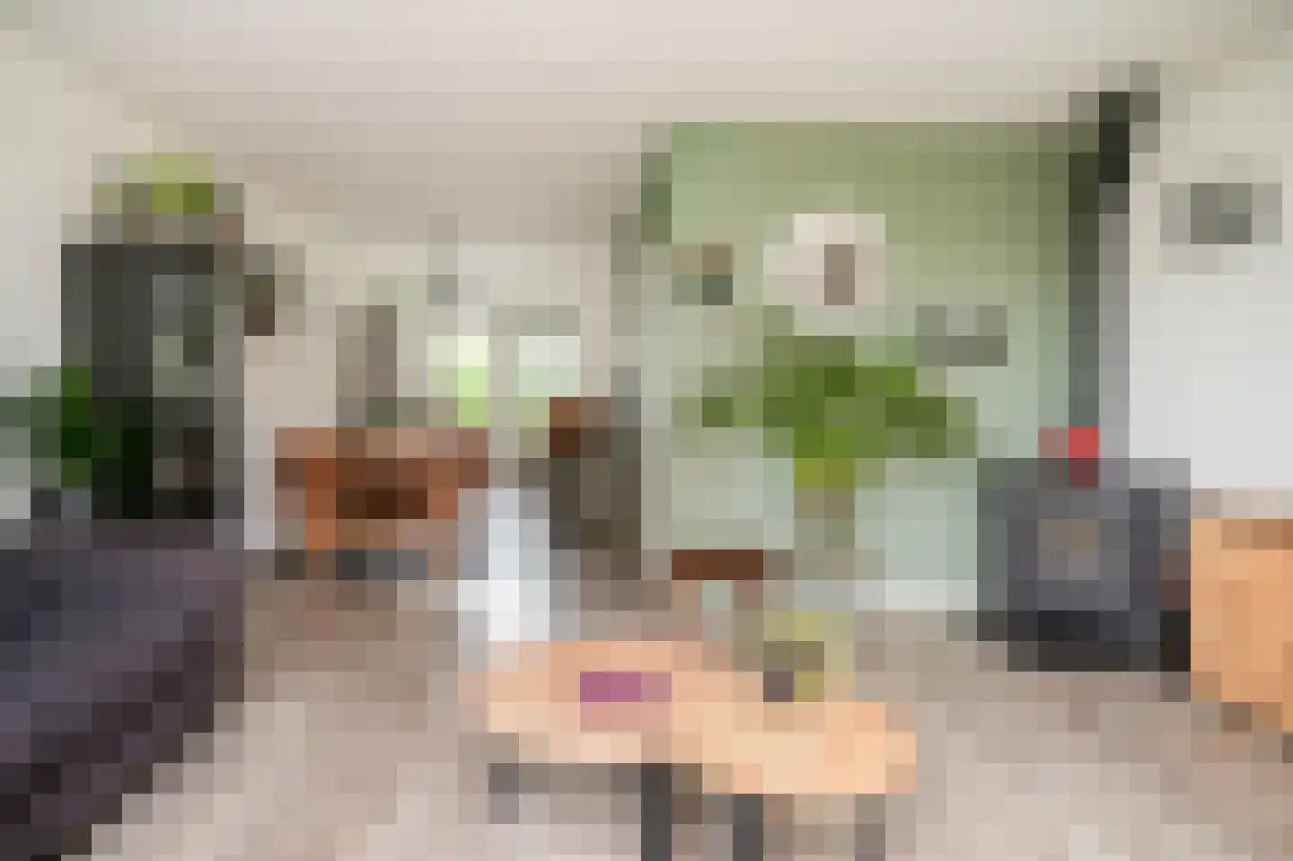 Schoresteynstraat 59 Deil thumbnail 7