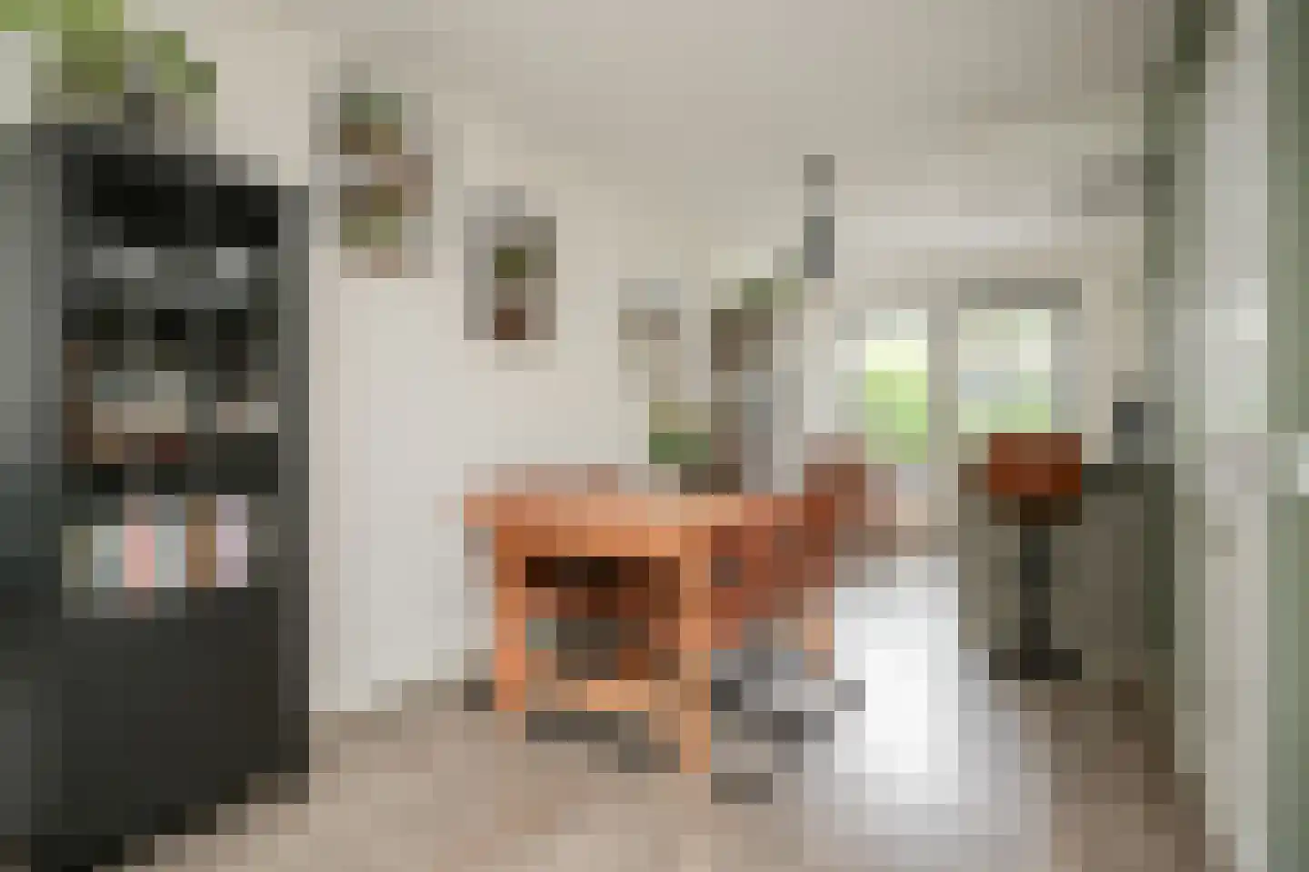 Schoresteynstraat 59 Deil thumbnail 9