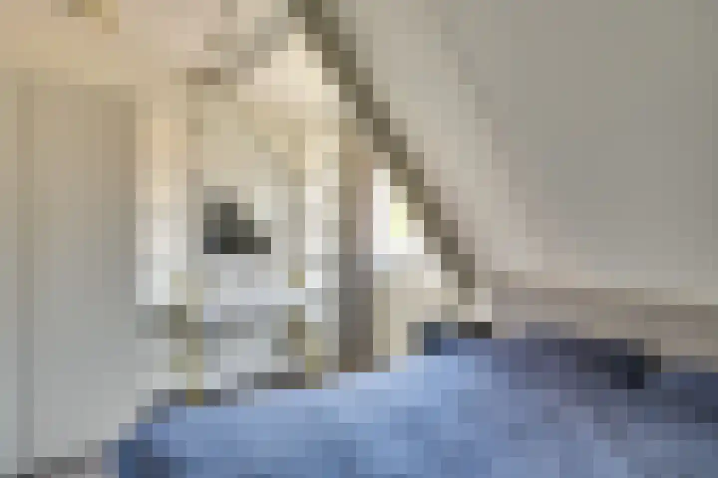 Schorfhoeve 3 Helmond thumbnail 30