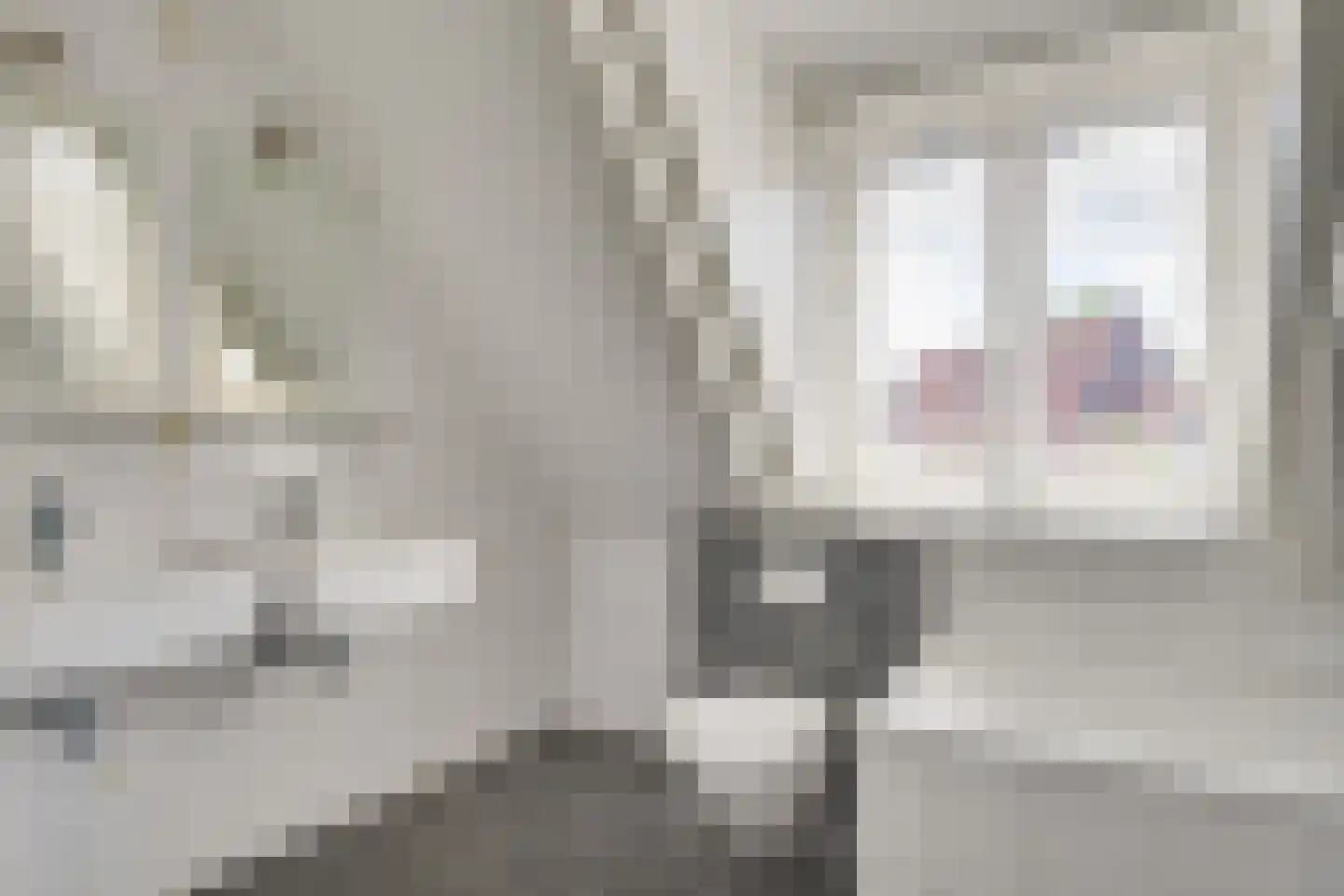 Schorfhoeve 3 Helmond thumbnail 31