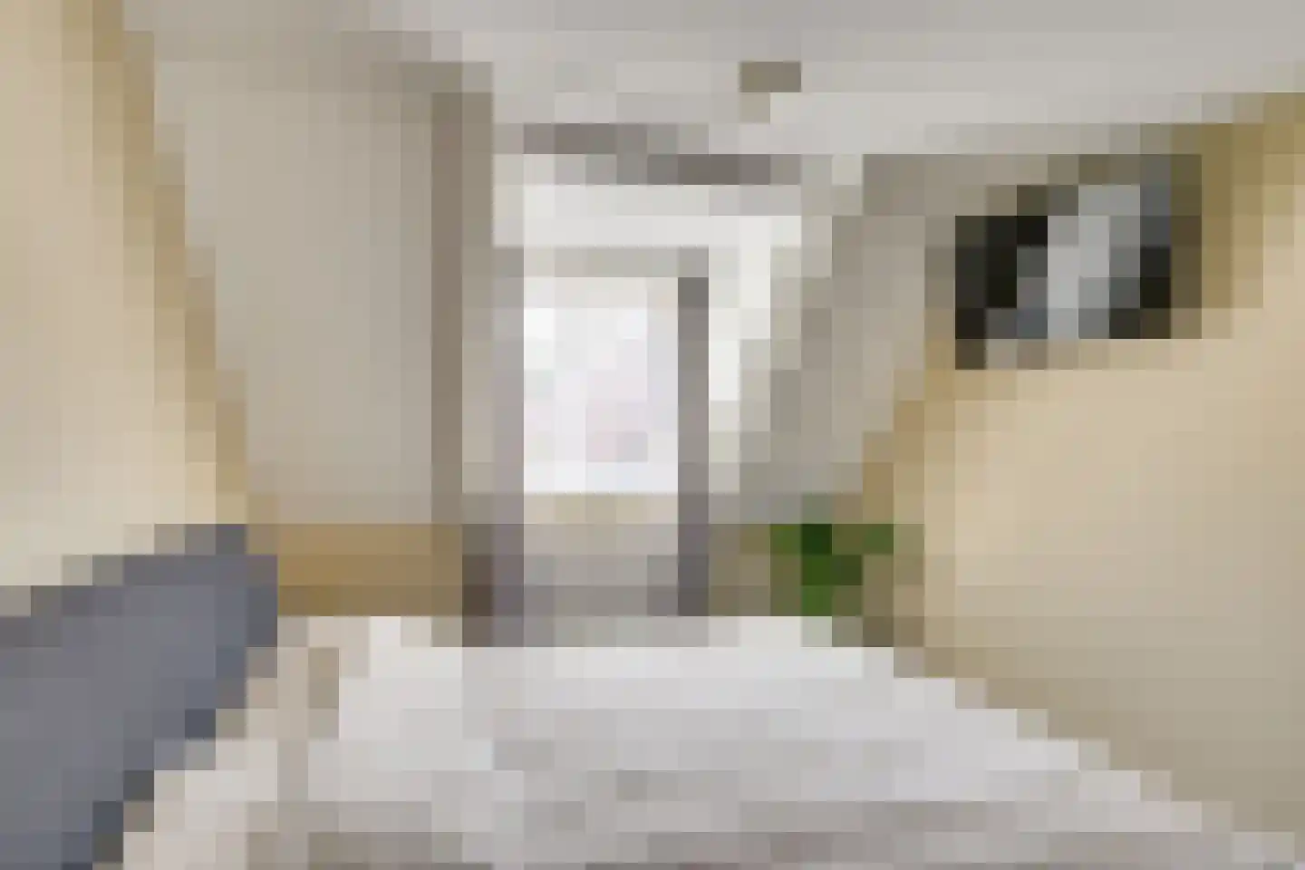 Schorfhoeve 3 Helmond thumbnail 5