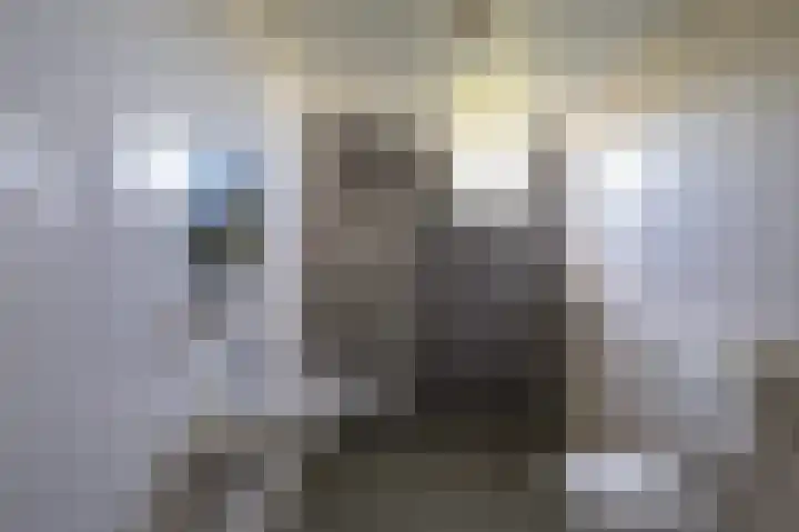 Schorpioen 104 Hoogezand thumbnail 14