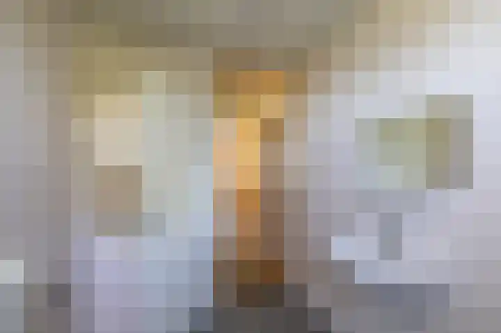Schorpioen 104 Hoogezand thumbnail 15