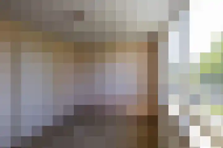 Schorpioen 104 Hoogezand thumbnail 18