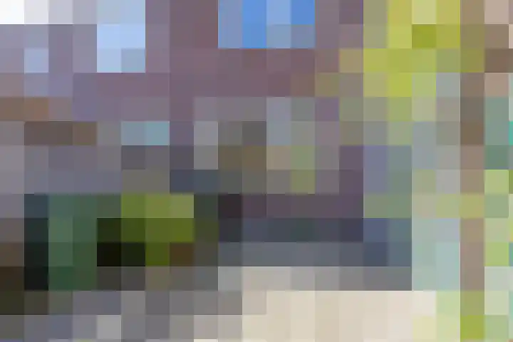 Schorpioen 104 Hoogezand thumbnail 19