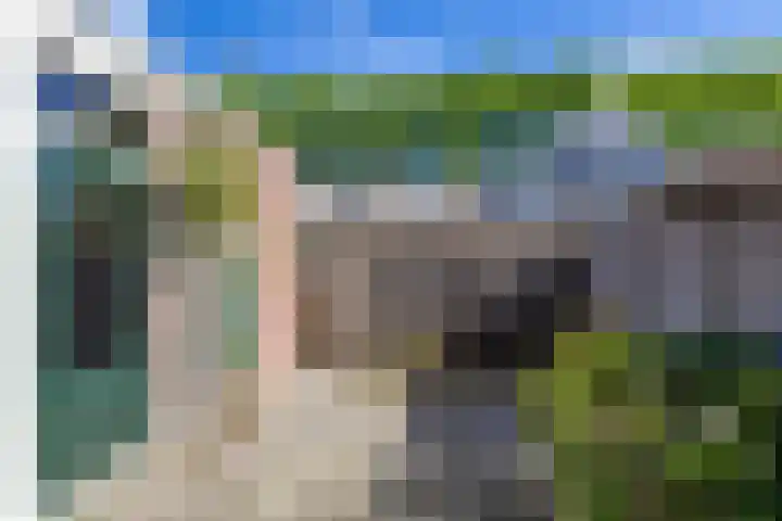 Schorpioen 104 Hoogezand thumbnail 20