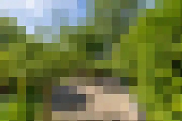 Schorpioen 104 Hoogezand thumbnail 4