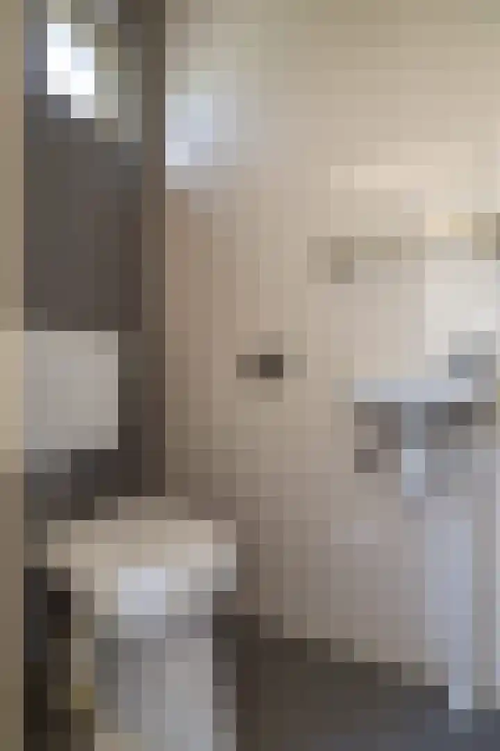 Schorpioen 104 Hoogezand thumbnail 6
